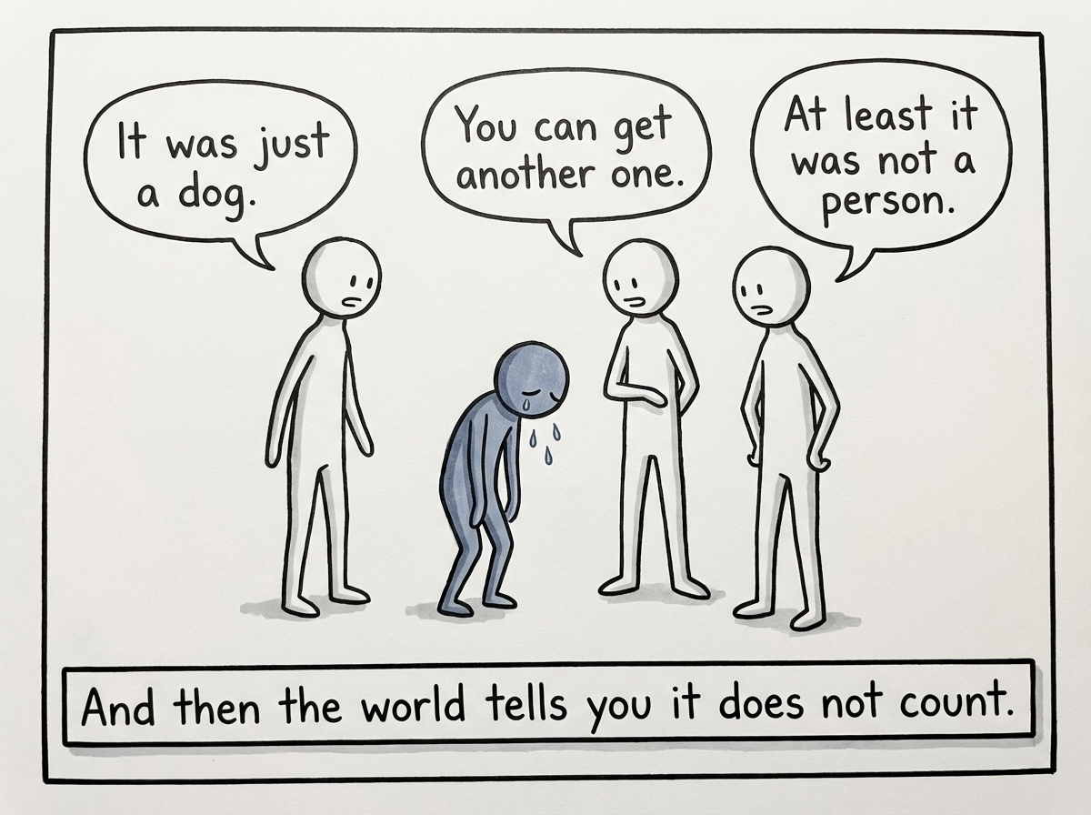 Three other stick figures standing around the grieving person, each with a speech bubble: 'It was just a dog,' 'You can get another one,' and 'At least it was not a person.' The grieving figure shrinks slightly, looking down.