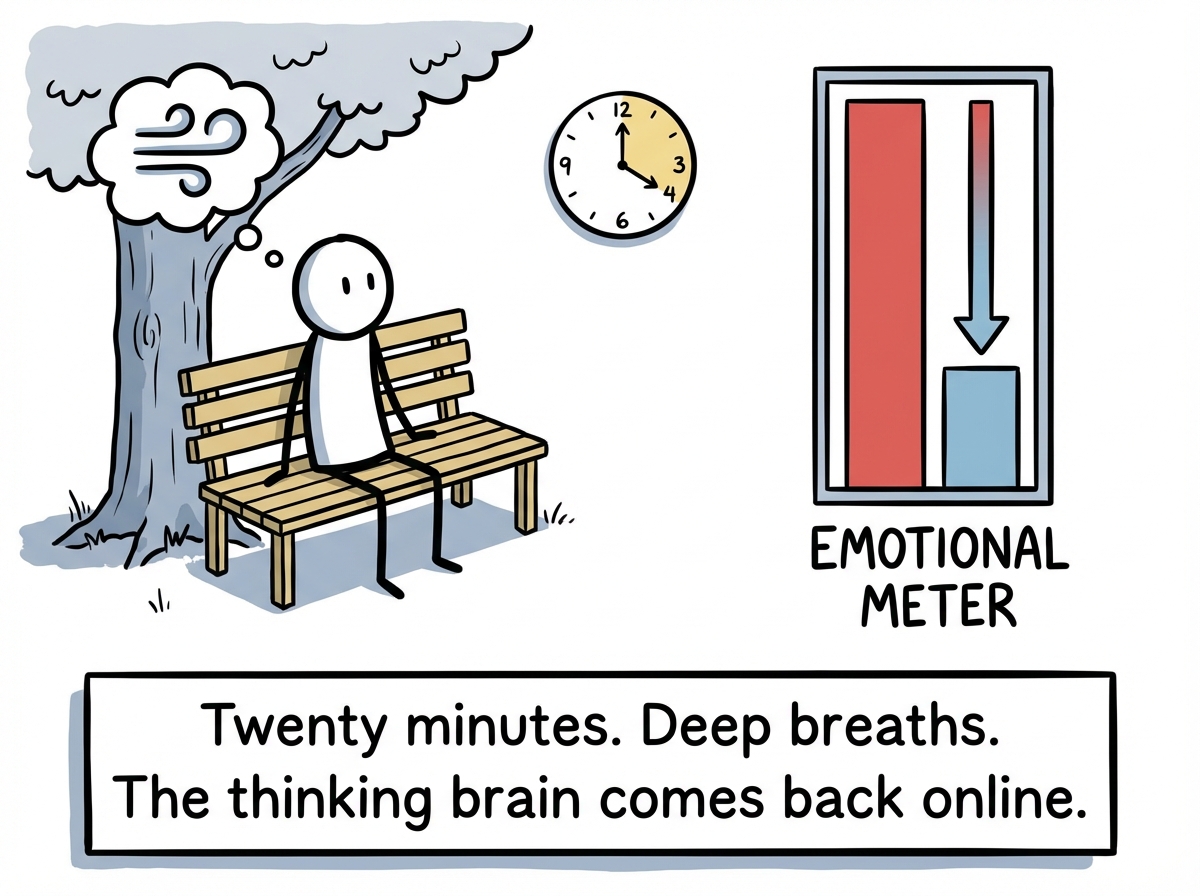 The same stick figure sitting outside on a bench, breathing deeply, with the emotional meter slowly going back down. A clock shows 20 minutes passing.