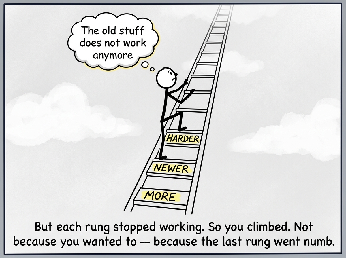 The stick figure several rungs higher, the rungs now labeled 'More,' 'Newer,' 'Harder,' with the figure climbing automatically, not even looking at the rungs, a thought bubble reading 'The old stuff does not work anymore'