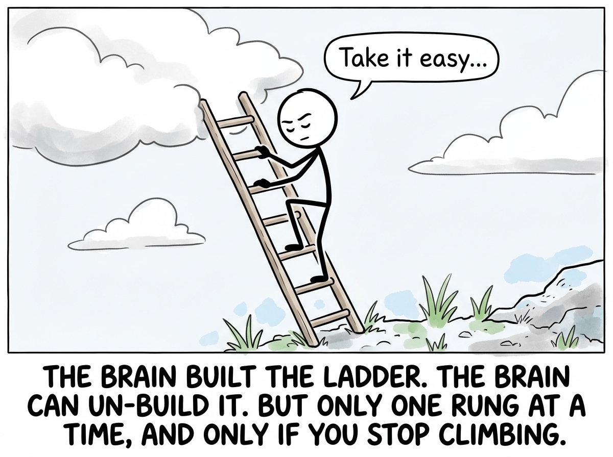 The stick figure beginning to climb back down, slowly, one rung at a time, with the ladder visibly shorter than before, and the ground starting to come back into view