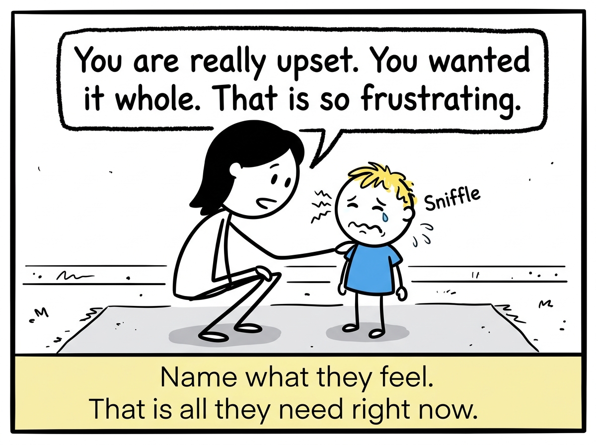 The parent at eye level with the toddler, saying 'You are really upset. You wanted it whole. That is so frustrating.' The toddler's sobs soften slightly