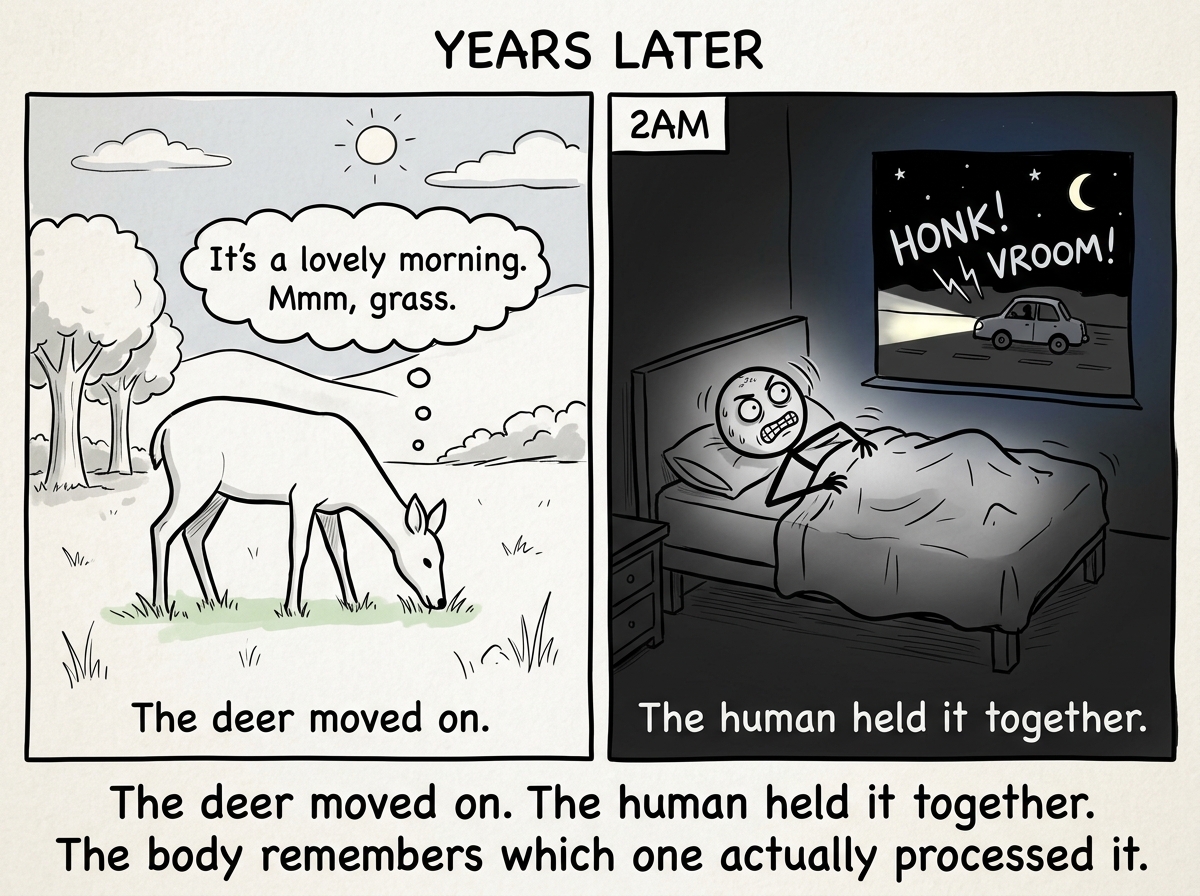 Years later: the deer is grazing peacefully, fully reset; the stick figure is lying awake at 2am, body tense, jaw clenched, startling at a car sound outside