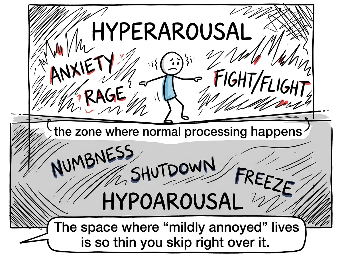 A diagram showing a narrow window of tolerance -- a tiny sliver between 'HYPERAROUSAL' at the top and 'HYPOAROUSAL' at the bottom, with the stick figure trying to balance on the razor-thin line labeled 'the zone where normal processing happens'