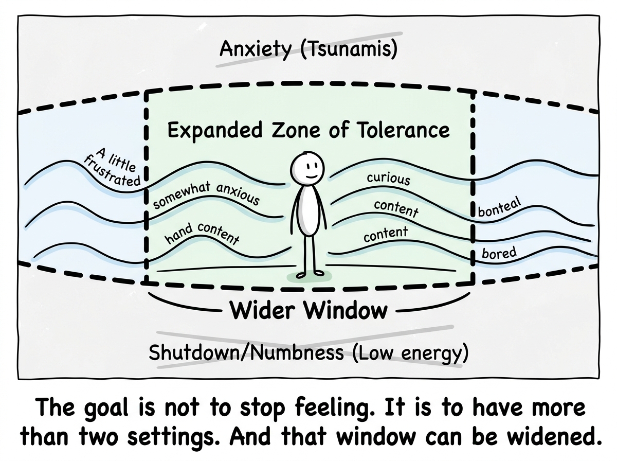 The same window diagram but wider, with the stick figure standing comfortably in an expanded middle zone, various emotions like 'a little frustrated' and 'somewhat anxious' shown as manageable waves instead of tsunamis